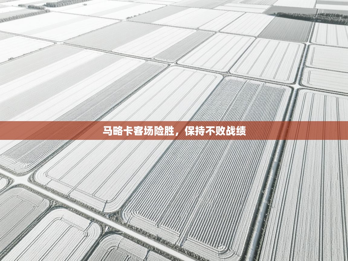 马略卡客场险胜，保持不败战绩  第1张