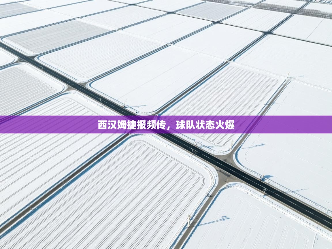 西汉姆捷报频传，球队状态火爆  第1张