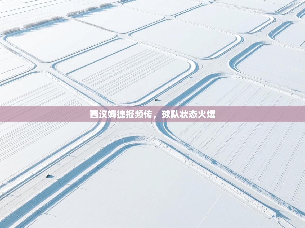 西汉姆捷报频传，球队状态火爆  第2张