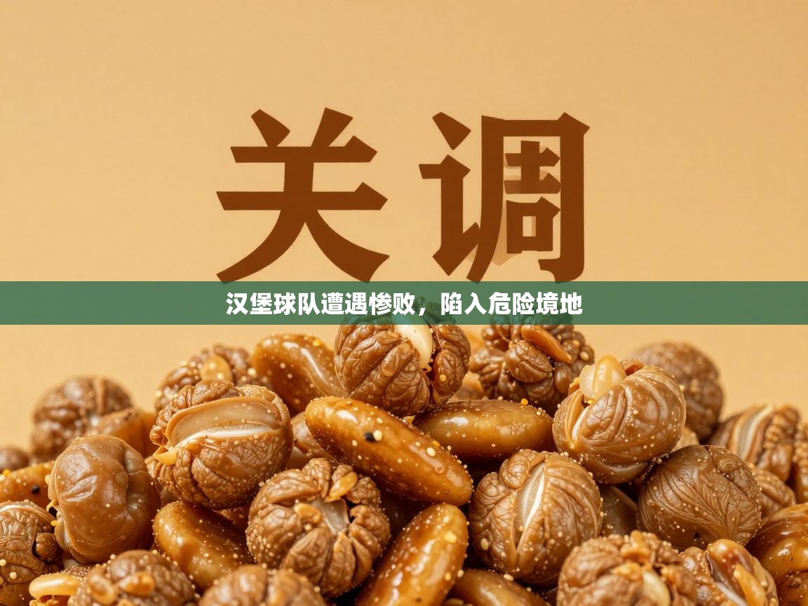 汉堡球队遭遇惨败，陷入危险境地  第1张