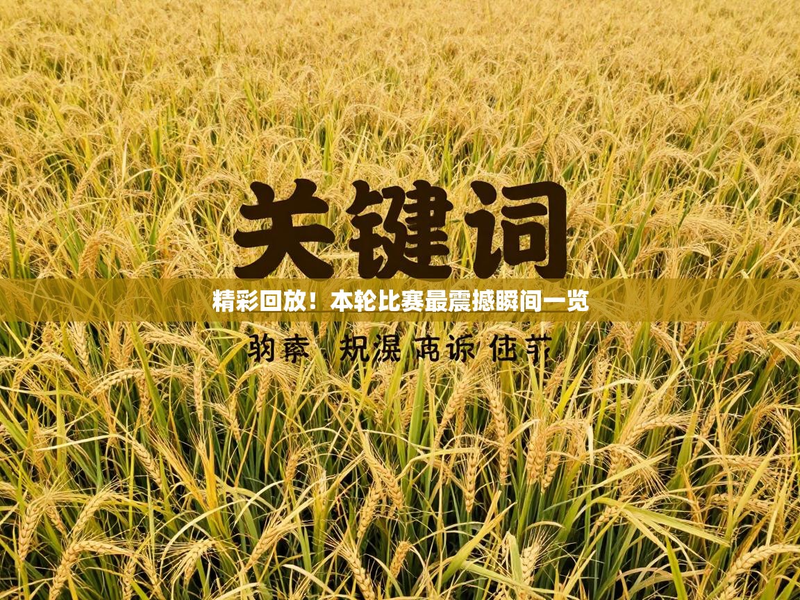 精彩回放!本轮比赛最震撼瞬间一览 第1张