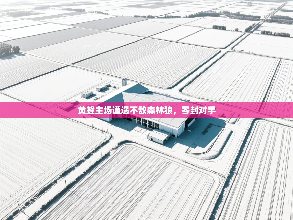 黄蜂主场遭遇不敌森林狼,零封对手 第1张