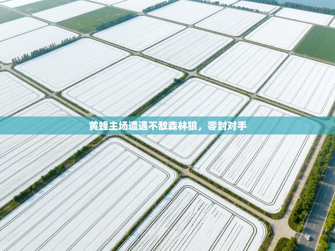 黄蜂主场遭遇不敌森林狼,零封对手 第2张