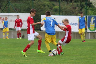 开云体育官方-阿贾克斯主帅表态未来计划，球迷期待新一季表现，阿贾克斯最新引援